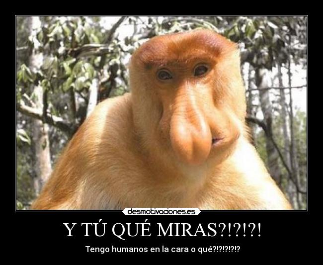 Y TÚ QUÉ MIRAS?!?!?! -