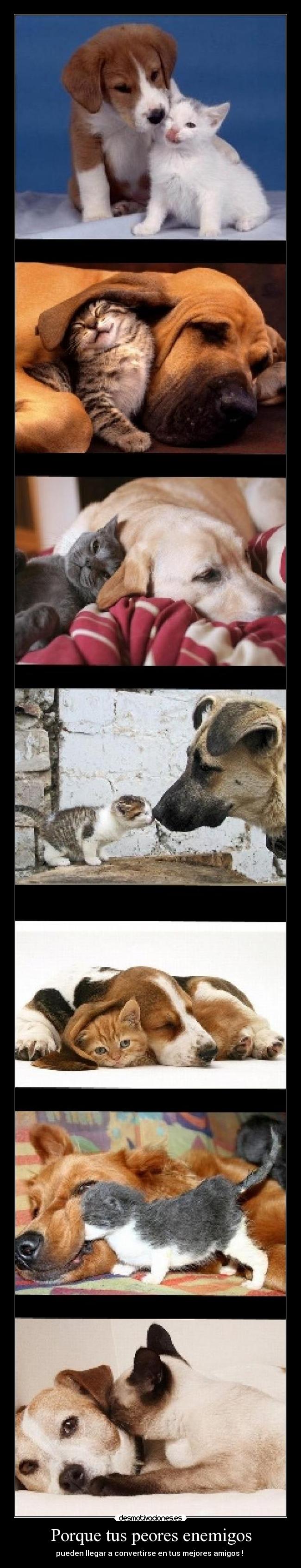 Porque tus peores enemigos - pueden llegar a convertirse en tus mejores amigos !