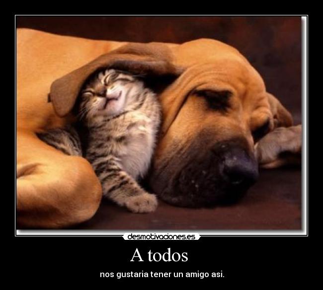 A todos - nos gustaria tener un amigo asi.