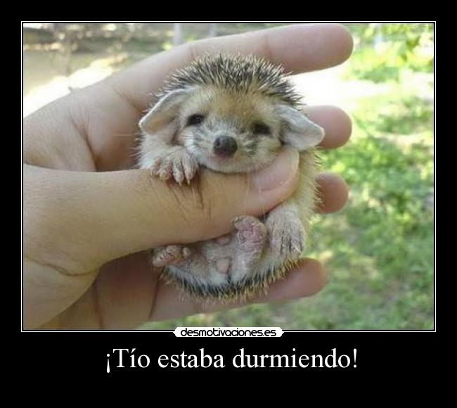 ¡Tío estaba durmiendo! - 