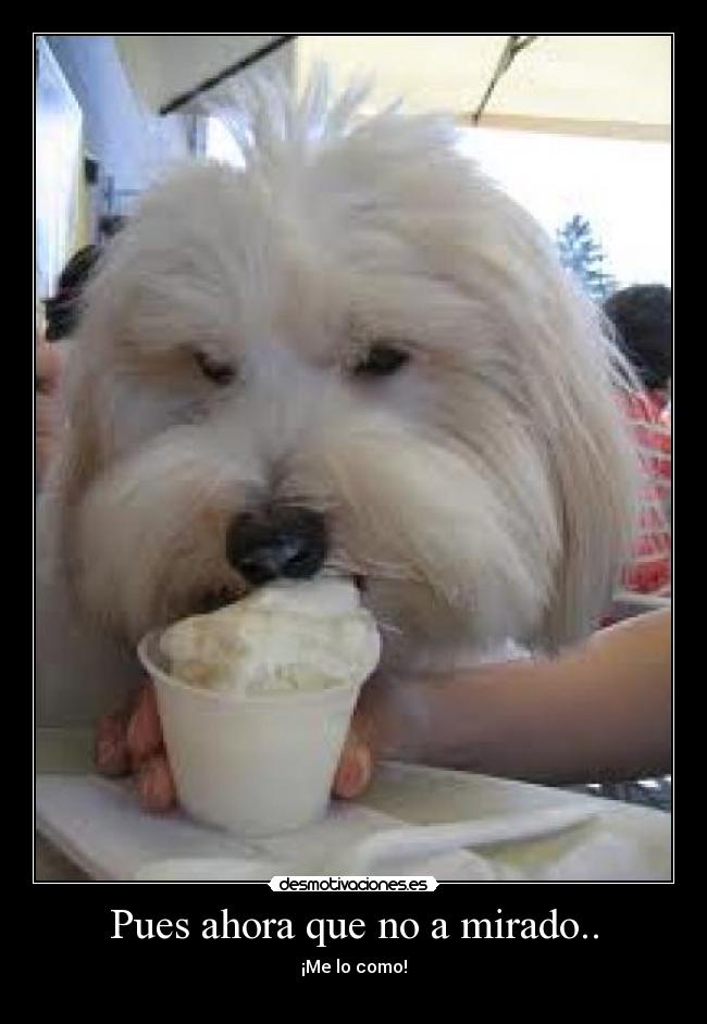 Pues ahora que no a mirado.. - ¡Me lo como!