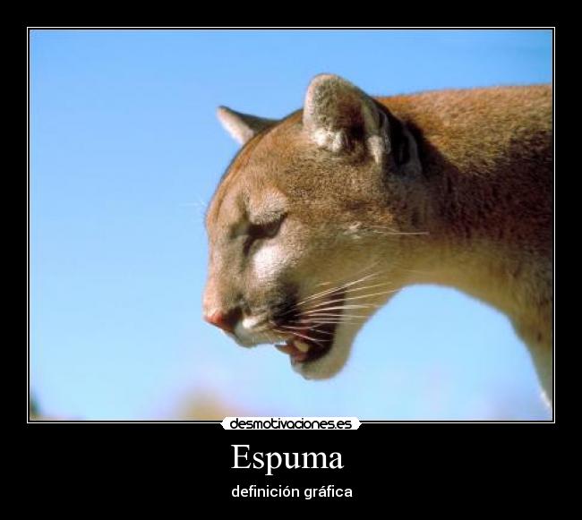 carteles qwerwer desmotivaciones