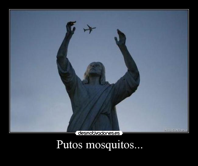 carteles mosquitos desmotivaciones