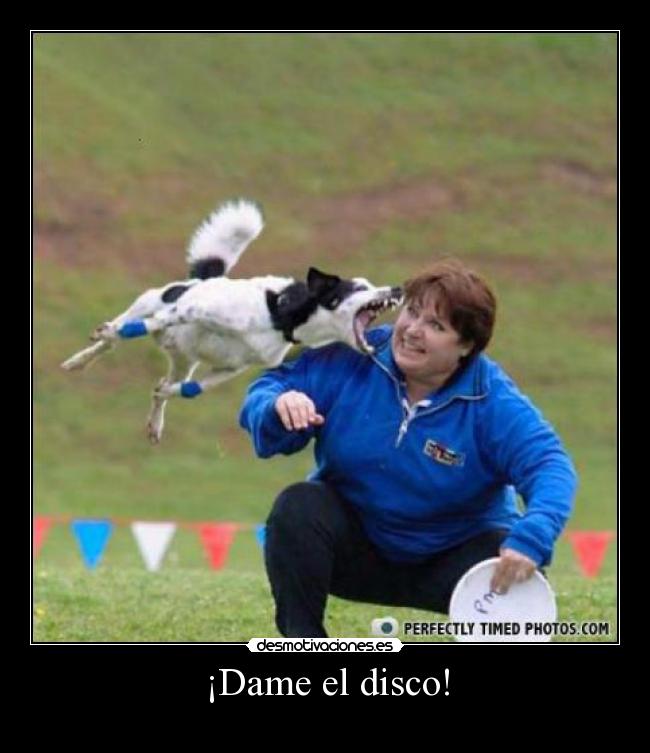 ¡Dame el disco! - 