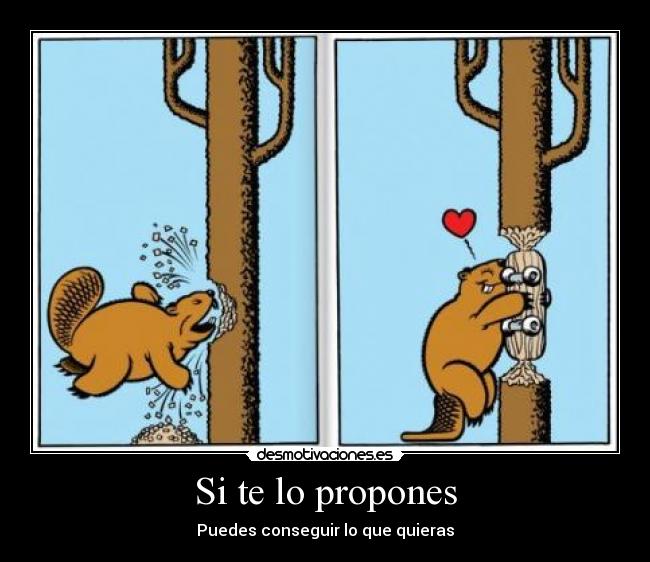Si te lo propones - Puedes conseguir lo que quieras