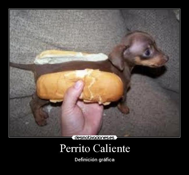 Perrito Caliente -