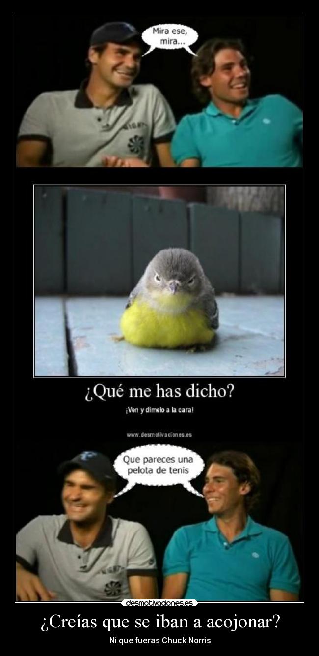 ¿Creías que se iban a acojonar? -