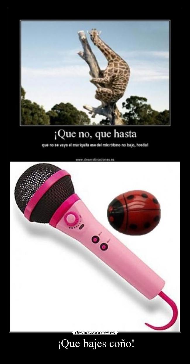¡Que bajes coño! - 