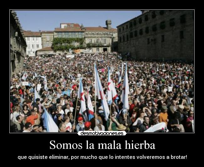 Somos la mala hierba - que quisiste eliminar, por mucho que lo intentes volveremos a brotar!