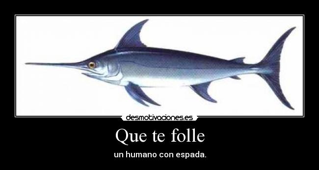 carteles pez espada desmotivaciones