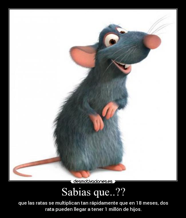 Sabias que..?? -