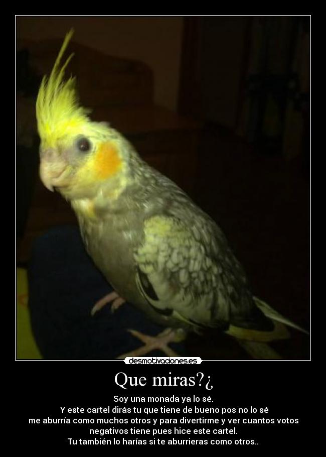 carteles que miras desmotivaciones