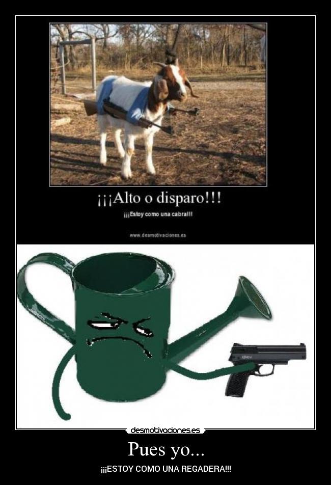 Pues yo... - ¡¡¡ESTOY COMO UNA REGADERA!!!