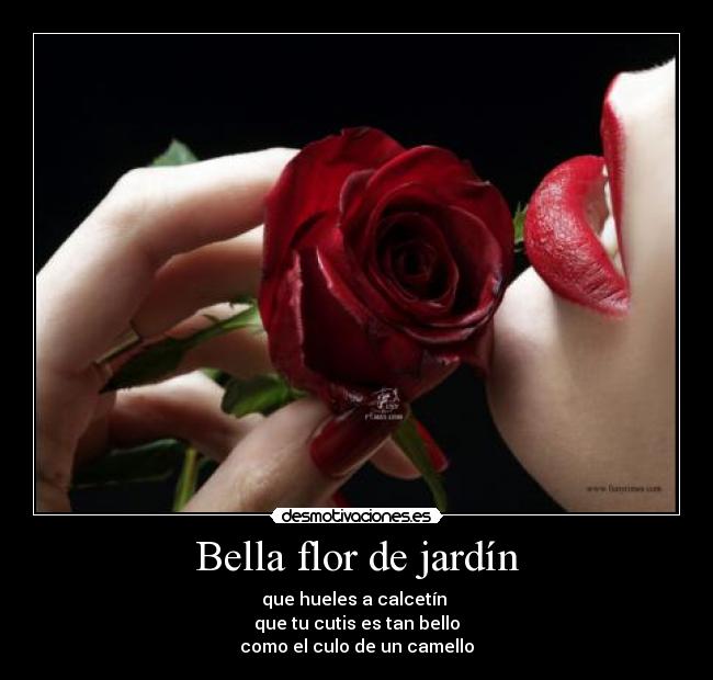 carteles jotajotamv desmotivaciones