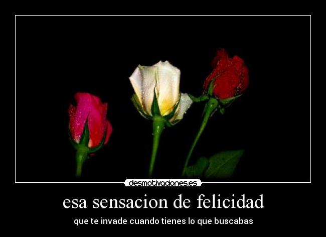 esa sensacion de felicidad -