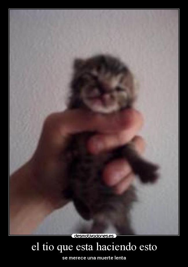 el tio que esta haciendo esto - se merece una muerte lenta