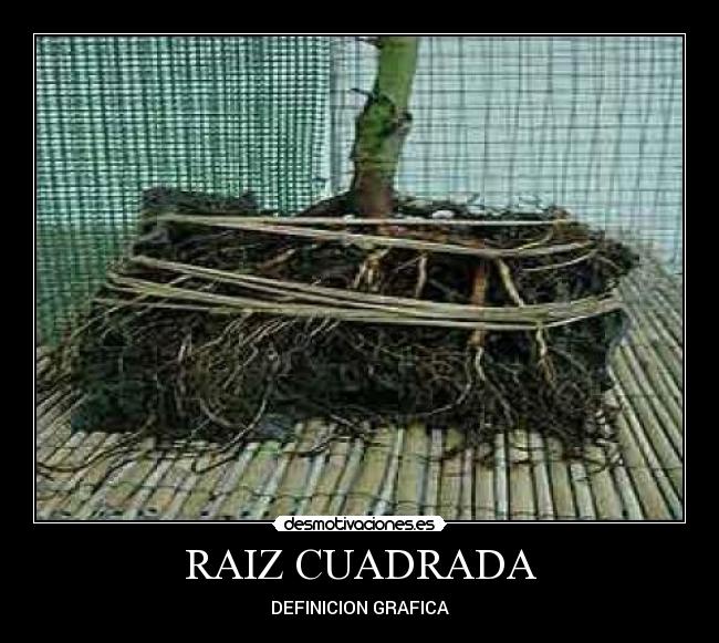 RAIZ CUADRADA - DEFINICION GRAFICA