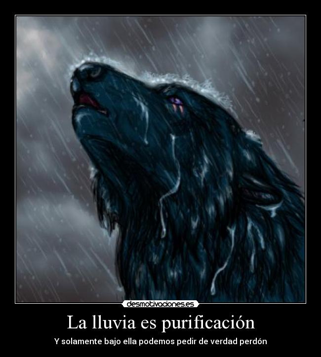 La lluvia es purificación -