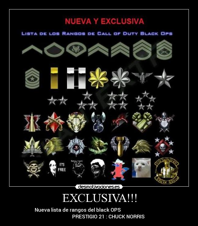 EXCLUSIVA!!! - 