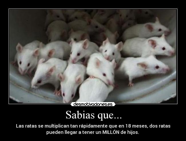 Sabias que... -