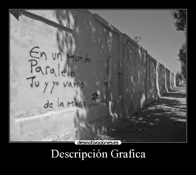 Descripción Grafica - 