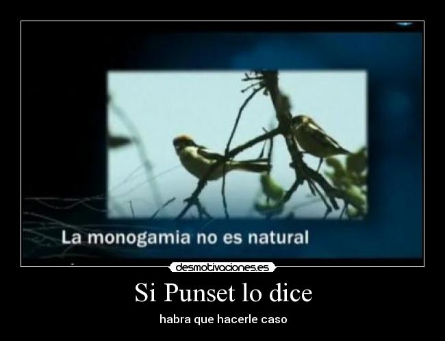 Si Punset lo dice - habra que hacerle caso