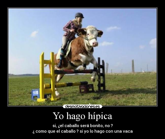Yo hago hípica -