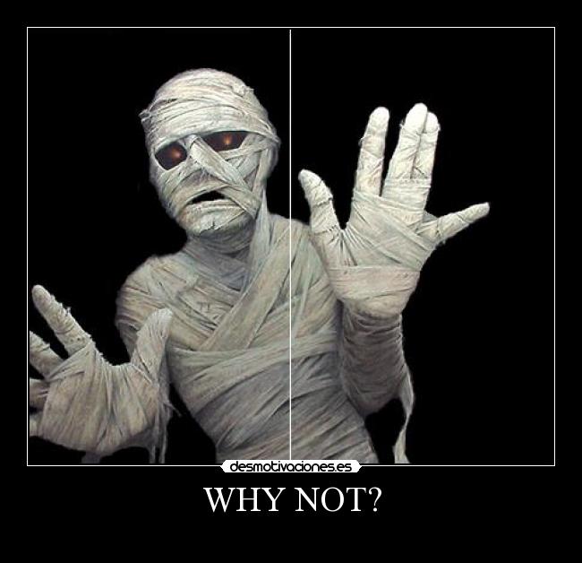 WHY NOT? - 