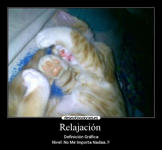 Relajación  - Definición Gráfica
Nivel: No Me Importa Nadaa..!! 