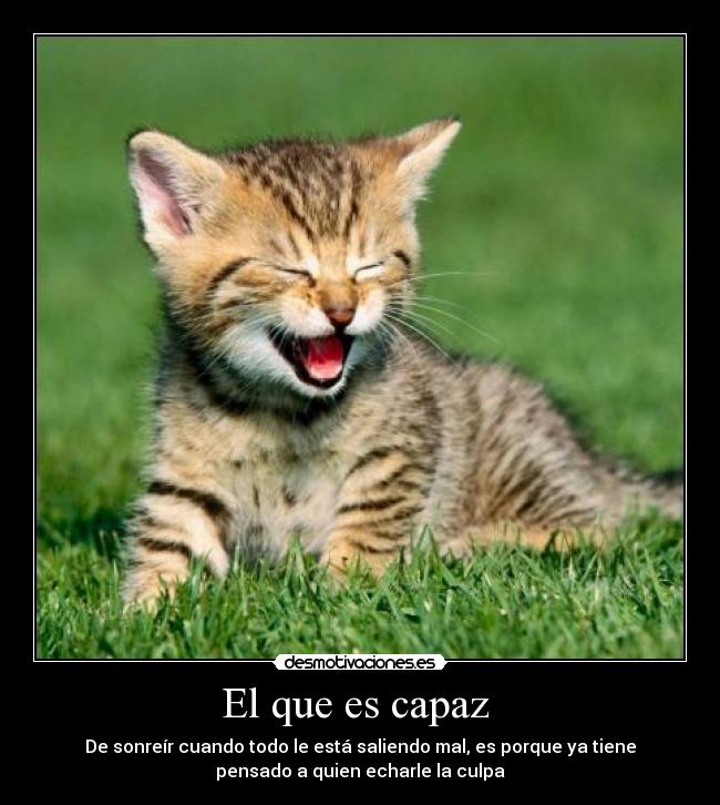 carteles que capaz desmotivaciones