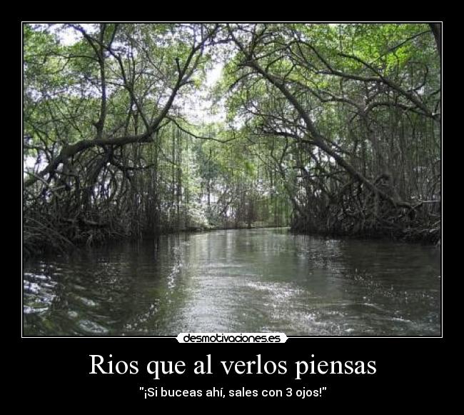 Rios que al verlos piensas -