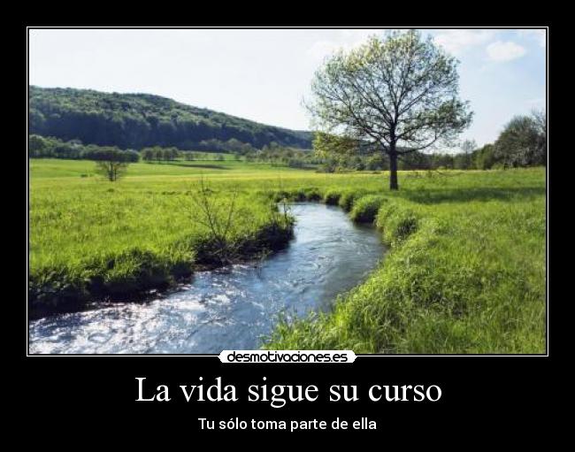 La vida sigue su curso - Tu sólo toma parte de ella