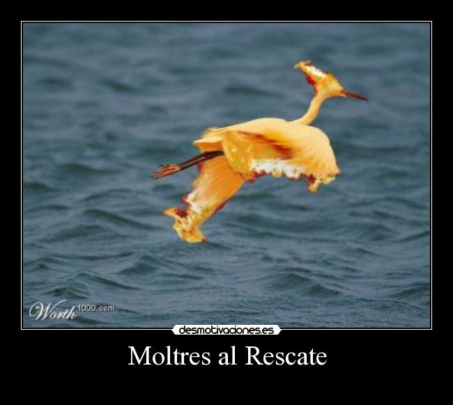 Moltres al Rescate -
