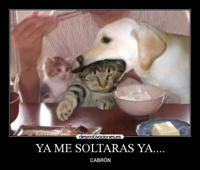 YA ME SOLTARAS YA.... - CABRÓN