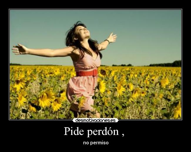 carteles perdon desmotivaciones