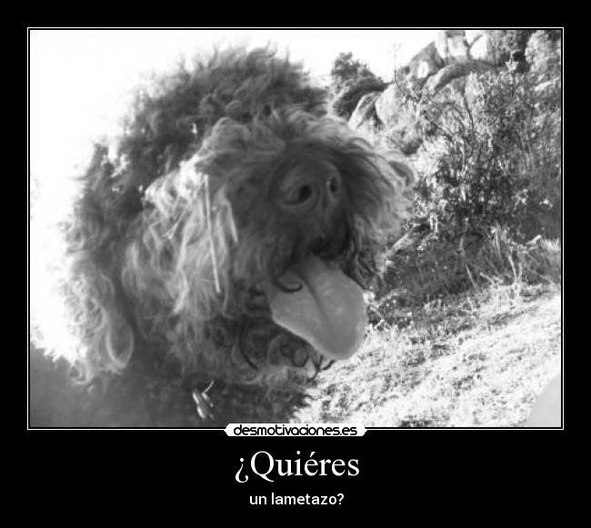 ¿Quiéres - 