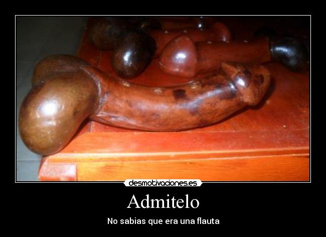 carteles comico gracioso pene flauta pensar raro desmotivaciones