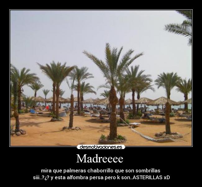 Madreeee - mira que palmeras chaborrillo que son sombrillas
siii..?¿? y esta alfombra persa pero k son..ASTERILLAS xD