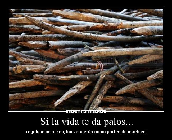 Si la vida te da palos... -