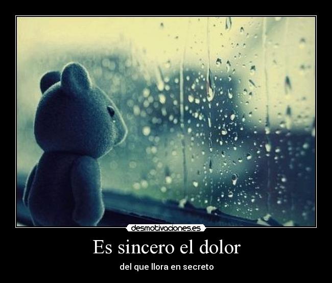 carteles dolor dolor secreto desmotivaciones