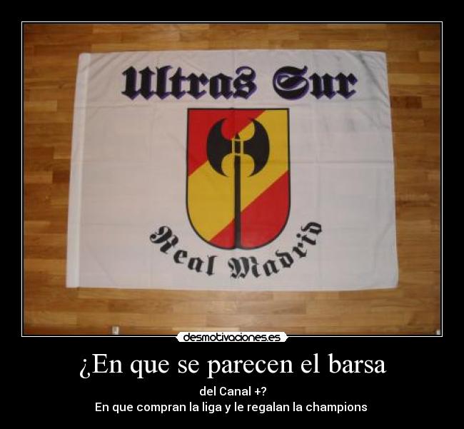 ¿En que se parecen el barsa -