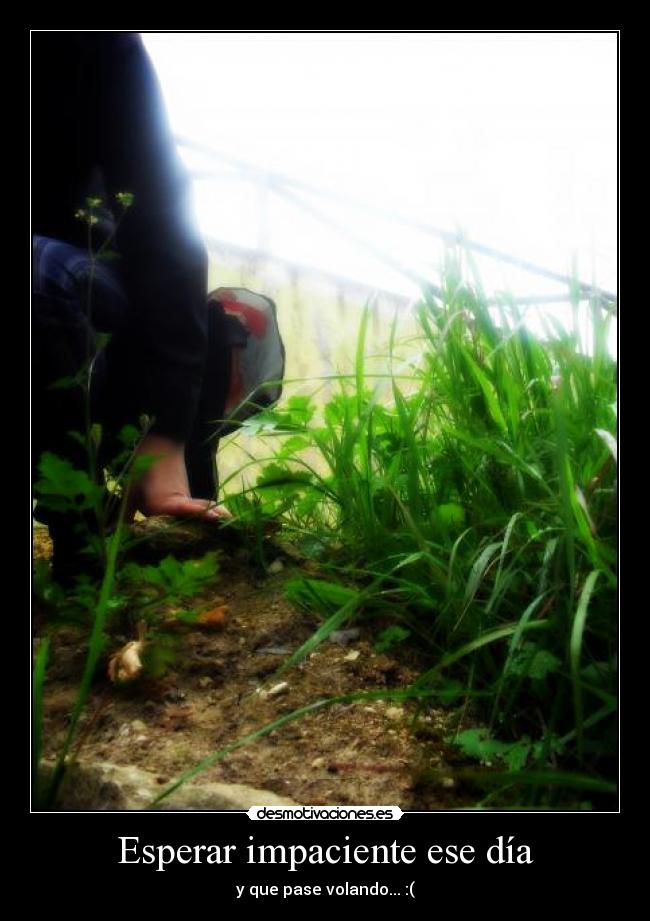 Esperar impaciente ese día - y que pase volando... :(