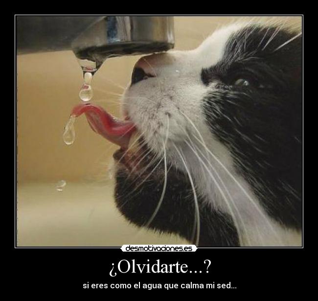 ¿Olvidarte...? - si eres como el agua que calma mi sed...