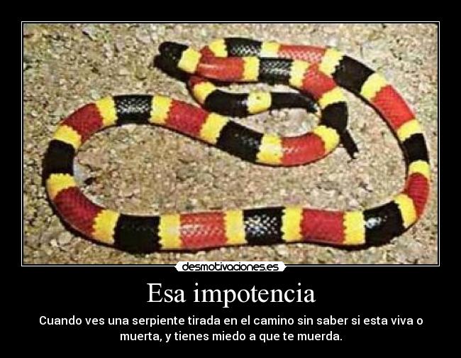 Esa impotencia -