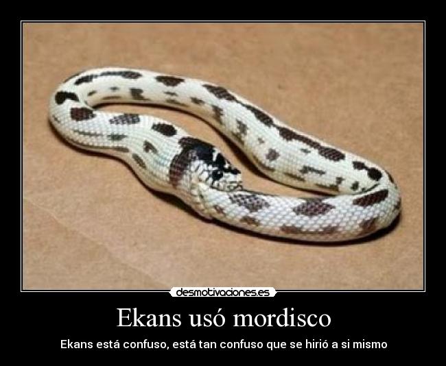 Ekans usó mordisco - Ekans está confuso, está tan confuso que se hirió a si mismo