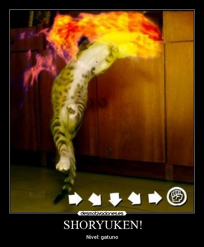 SHORYUKEN! - 