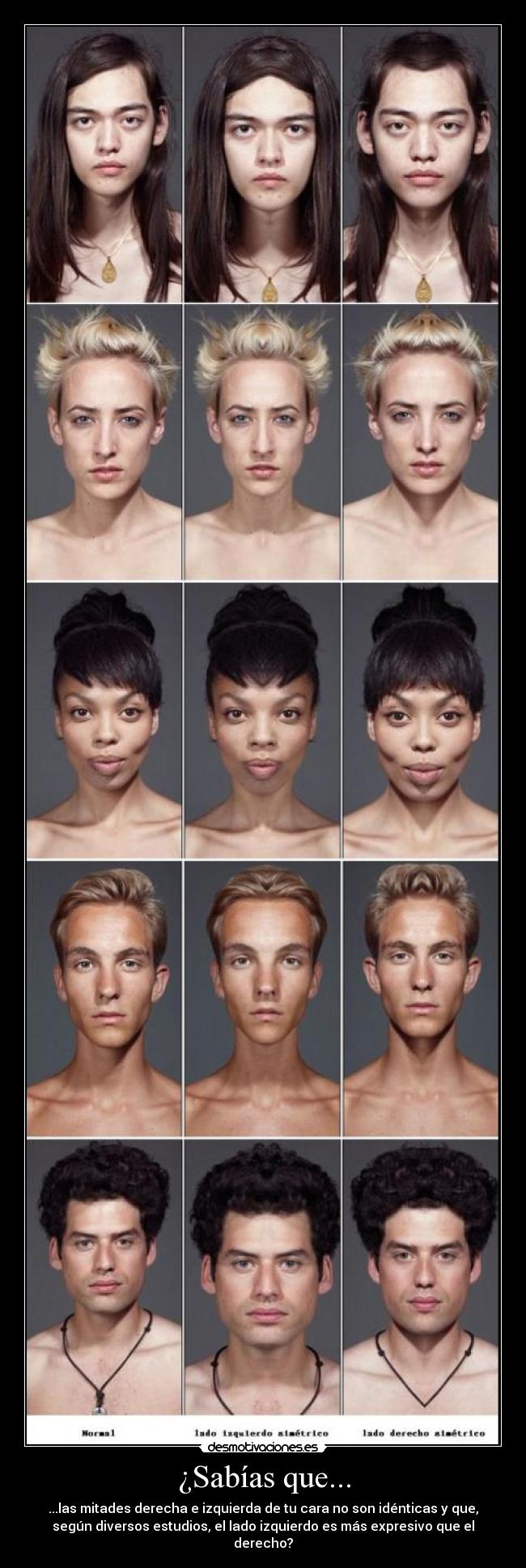 ¿Sabías que... - ...las mitades derecha e izquierda de tu cara no son idénticas y que,
según diversos estudios, el lado izquierdo es más expresivo que el
derecho?