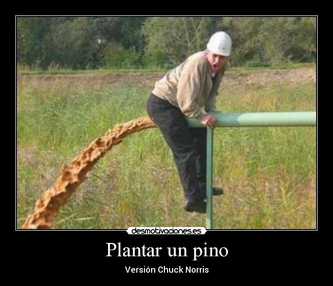 Plantar un pino - Versión Chuck Norris