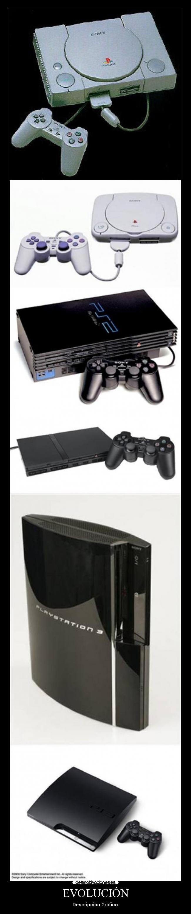 EVOLUCIÓN - Descripción Gráfica.