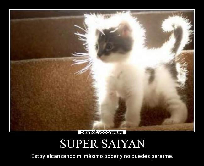 SUPER SAIYAN - Estoy alcanzando mi máximo poder y no puedes pararme.